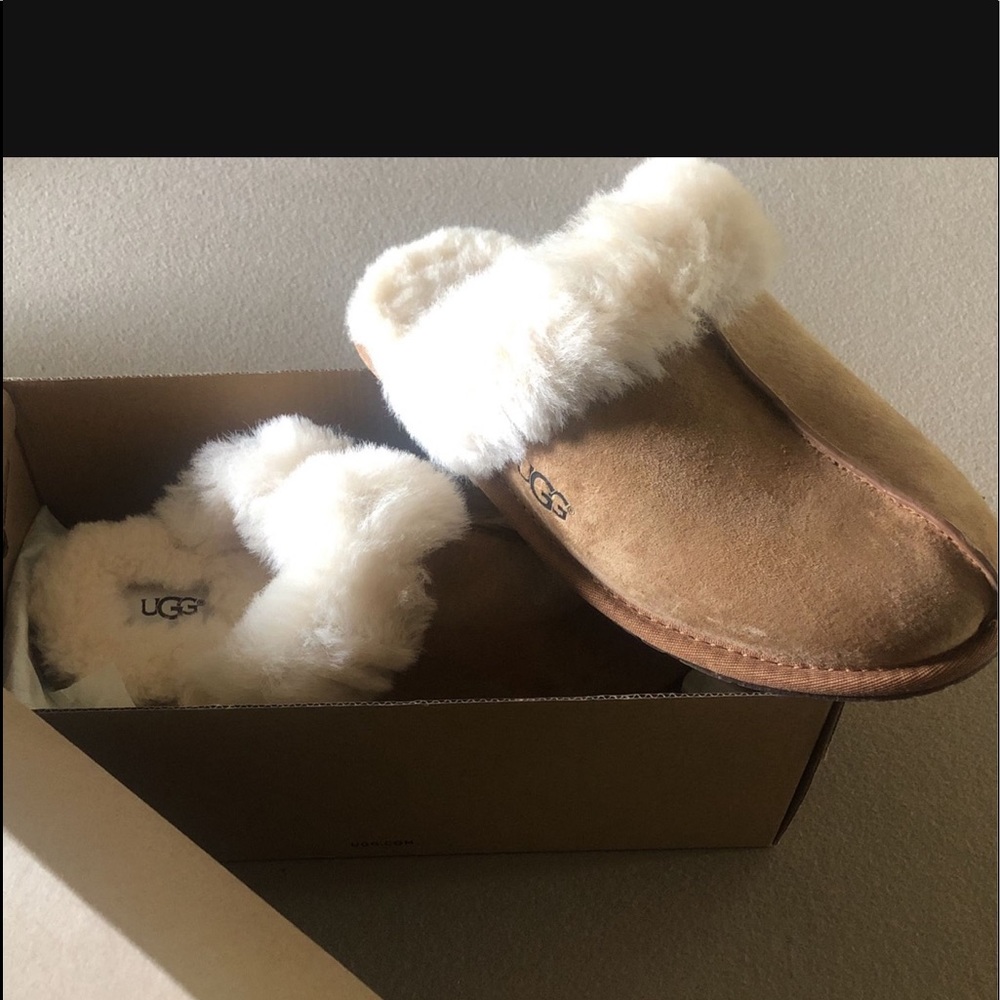 NEW UGG Slippers